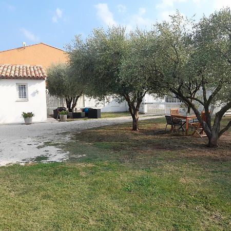 Le Coin Des Oliviers Villa Puget-sur-Argens Exterior photo