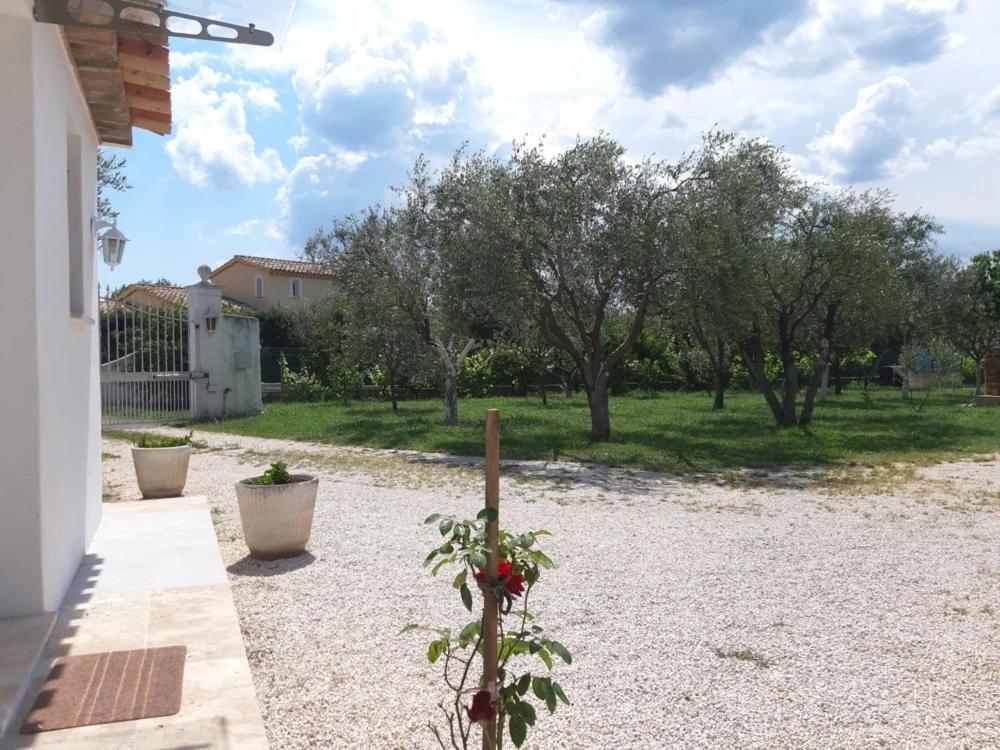 Le Coin Des Oliviers Villa Puget-sur-Argens Exterior photo
