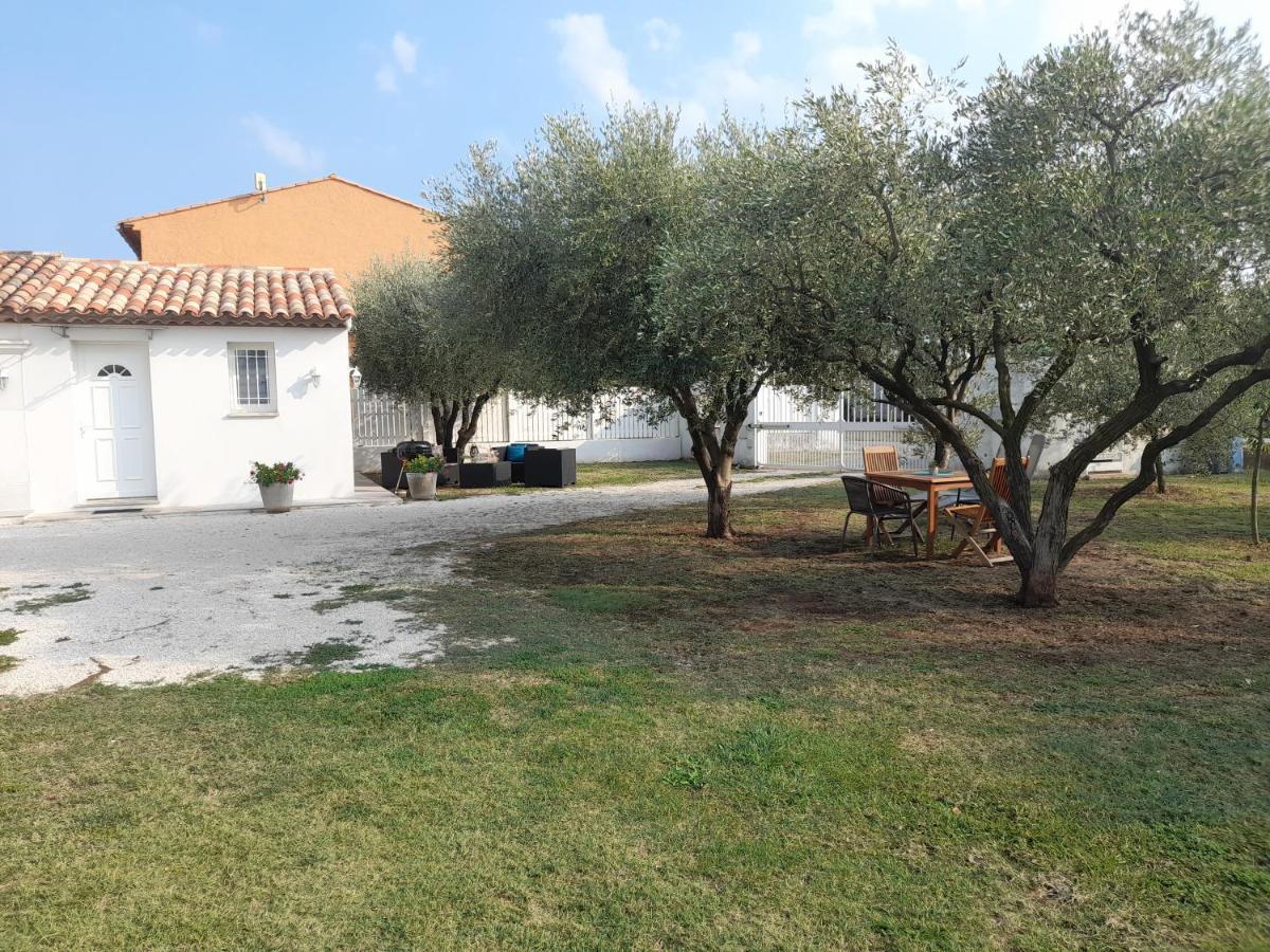 Le Coin Des Oliviers Villa Puget-sur-Argens Exterior photo